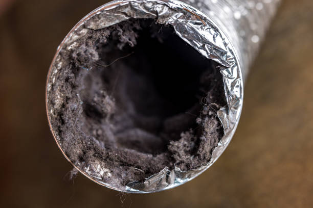 Best Air Duct Cleaning Company Near Me  in Burns Flat, OK